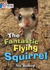 The Fantastic Flying Squirrel - фото обкладинки книги