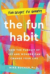 The Fun Habit: How the Pursuit of Joy and Wonder Can Change Your Life - фото обкладинки книги