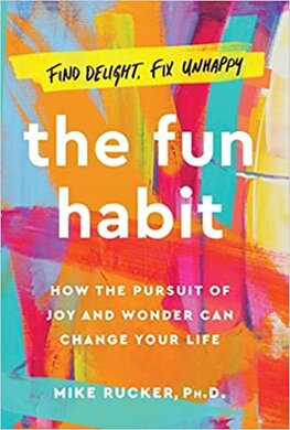 The Fun Habit: How the Pursuit of Joy and Wonder Can Change Your Life - фото книги