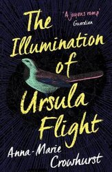 The Illumination of Ursula Flight - фото обкладинки книги