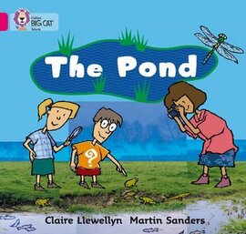 The Pond. Workbook - фото книги