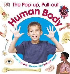 The Pop-Up, Pull-Out Human Body - фото книги