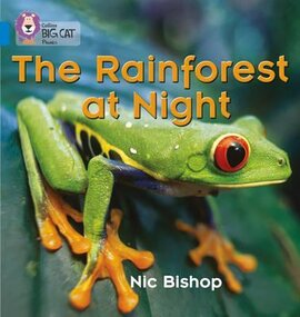 The Rainforest at Night - фото книги