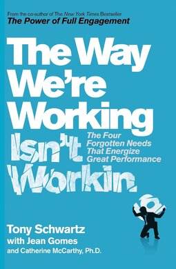 The Way We're Working Isn't Working - фото книги