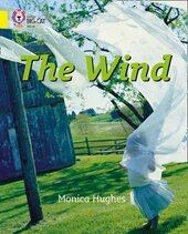 The Wind - фото обкладинки книги