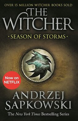 The Witcher. Season of Storms. Book 8 - фото книги
