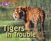 Tigers in Trouble - фото обкладинки книги