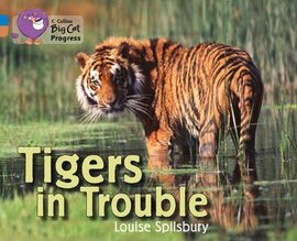 Tigers in Trouble - фото книги