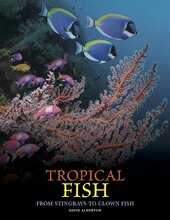 Tropical Fish - фото обкладинки книги