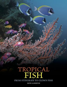 Tropical Fish - фото книги