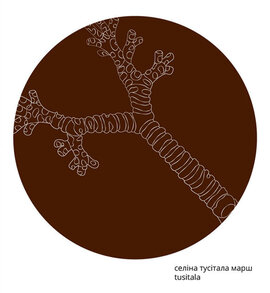 Tusitala - фото книги
