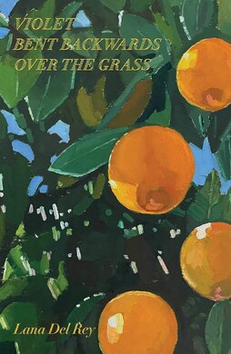 Violet Bent Backwards Over the Grass - фото книги