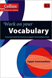 Vocabulary: A Practice Book for Learners at Upper Intermediate Level - фото обкладинки книги