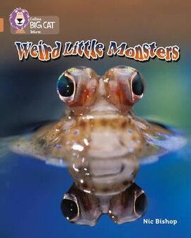 Weird Little Monsters - фото книги