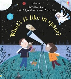 What's it Like in Space? - фото книги