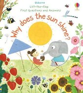 Why Does the Sun Shine? - фото обкладинки книги