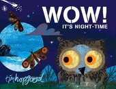 WOW! It's Night-time - фото обкладинки книги
