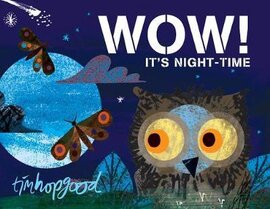 WOW! It's Night-time - фото книги
