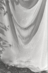 Я їду додому їсти шовковицю з дерева - фото обкладинки книги