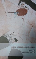 З-за гір'я. Щоденник любові - фото обкладинки книги