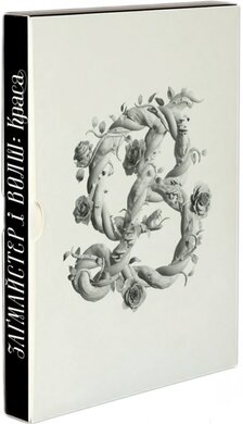 Загмайстер і Волш. Краса - фото книги