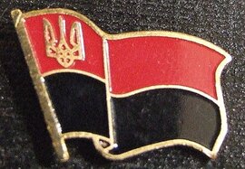 Значок "Прапор УПА великий" - фото книги