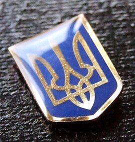 Значок "Тризуб на синьому" під лінзою - фото книги