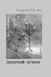 Зворотній час - фото книги