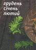 У будні і свята - фото 9