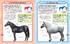Коні і поні. Міні-енциклопедія - фото 3
