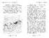 Озеро Водяних Лілей. Таємне королівство. Книжка 10 - фото 3