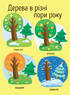 Моя перша енциклопедія. Як виростає дерево? - фото 7