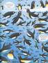 Подивись і знайди. Під водою - фото 9