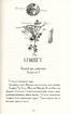 Мій братик мумія і золотий скарабей. Книга 1 - фото 2