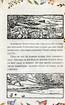 Казка про містера Лиса. Казка про місіс Кольколь - фото 3
