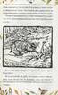 Казка про містера Лиса. Казка про місіс Кольколь - фото 4
