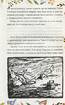 Казка про містера Лиса. Казка про місіс Кольколь - фото 9