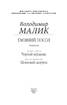Таємний посол. Книга 2. Чорний вершник. Шовковий шнурок - фото 2