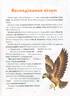 Коротенькі історії про тварин з усього світу - фото 9