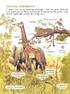 Навіщо тваринам хвіст? Дивовижний світ тварин - фото 2
