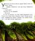 Казкотерапія. Два черв'ячки - фото 8