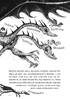 Як приручити дракона. Як зрадити героя. Книжка 11 - фото 5