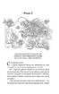 Земля світлячків. Звук павутинки. Повість минулих літ - фото 11