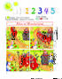 Smart Junior for UKRAINE НУШ 1 Student's Book HB - фото 7