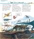 Чому? Чого? Навіщо? Відкриваємо світ динозаврів - фото 2