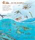 Чому? Чого? Навіщо? Відкриваємо світ динозаврів - фото 4