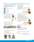 Cambridge Primary English 1 Learner's Book - фото 4