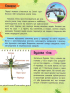 Мініенциклопедія. Комахи та павуки - фото 3