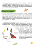 Мініенциклопедія. Комахи та павуки - фото 4