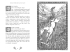 Фантастичні звірі і де їх шукати (нова обкл.) - фото 3
